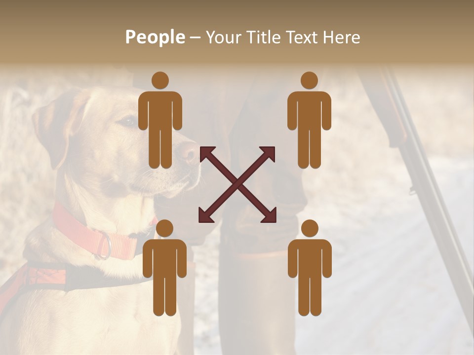 Animals Hunting Cold Weather Labrador PowerPoint Template