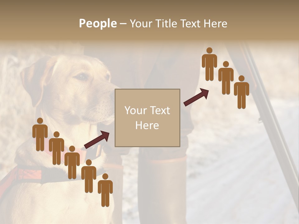 Animals Hunting Cold Weather Labrador PowerPoint Template