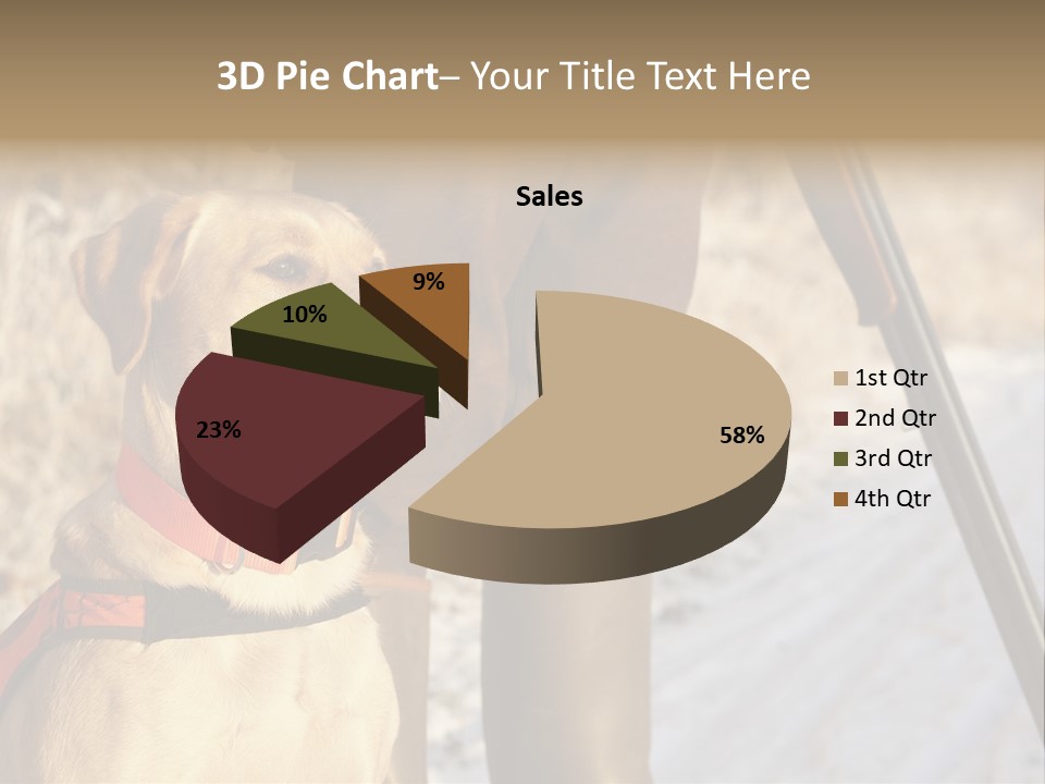 Animals Hunting Cold Weather Labrador PowerPoint Template