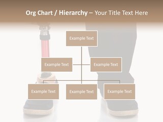 Salmon Tuna Montage PowerPoint Template