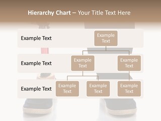 Salmon Tuna Montage PowerPoint Template