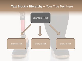 Salmon Tuna Montage PowerPoint Template