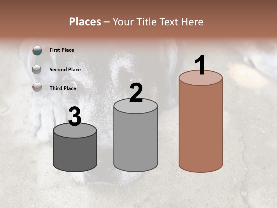Black Down Indoors PowerPoint Template