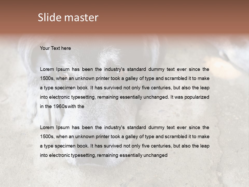 Black Down Indoors PowerPoint Template