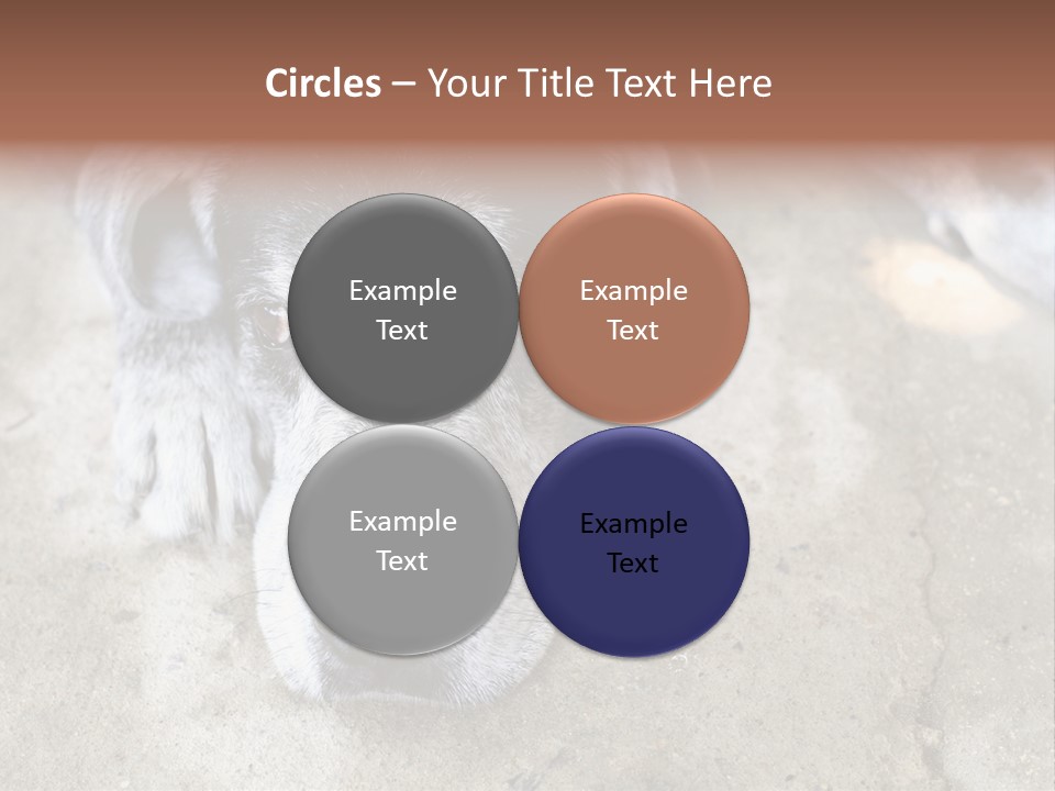 Black Down Indoors PowerPoint Template