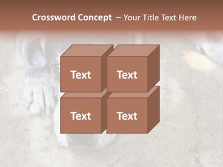 Black Down Indoors PowerPoint Template