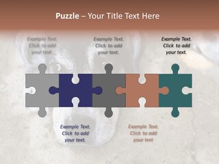 Black Down Indoors PowerPoint Template