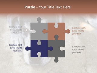 Black Down Indoors PowerPoint Template