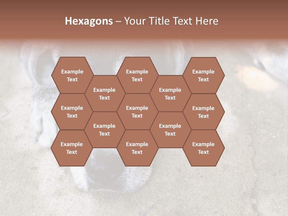 Black Down Indoors PowerPoint Template