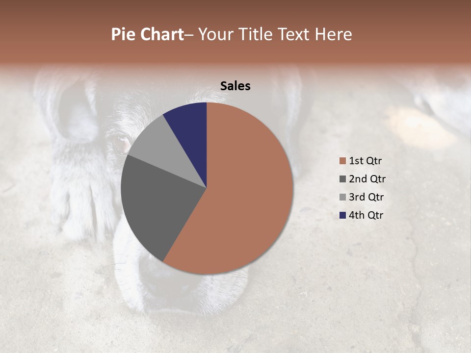 Black Down Indoors PowerPoint Template