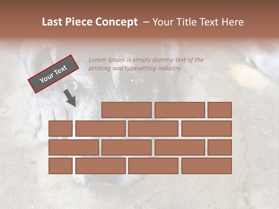 Black Down Indoors PowerPoint Template