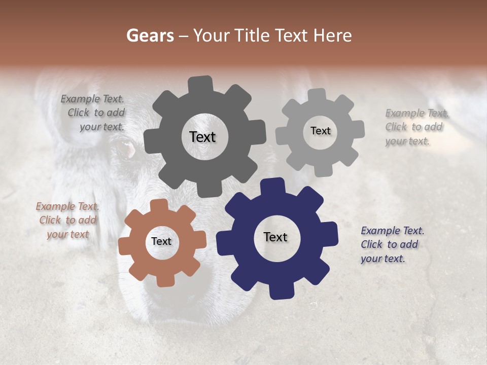 Black Down Indoors PowerPoint Template