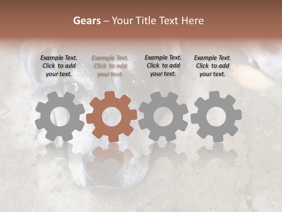 Black Down Indoors PowerPoint Template