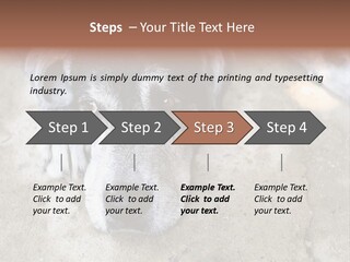 Black Down Indoors PowerPoint Template