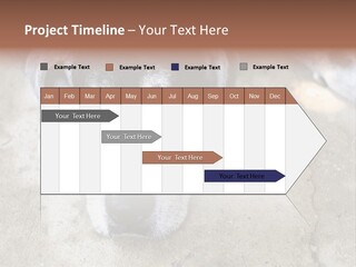 Black Down Indoors PowerPoint Template