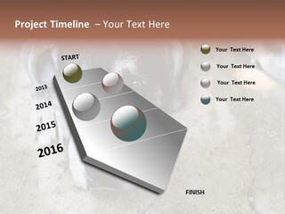Black Down Indoors PowerPoint Template