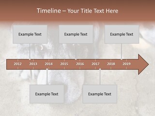 Black Down Indoors PowerPoint Template