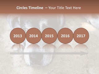Black Down Indoors PowerPoint Template