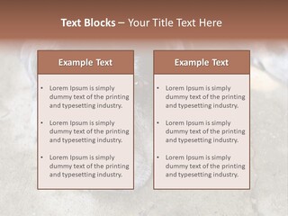 Black Down Indoors PowerPoint Template