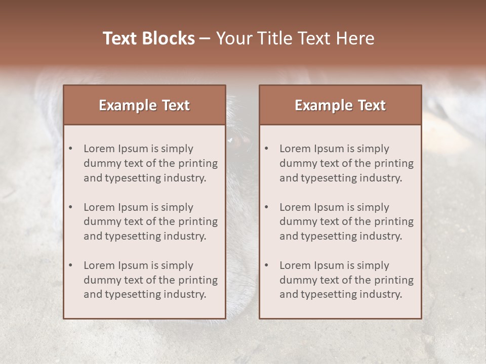 Black Down Indoors PowerPoint Template