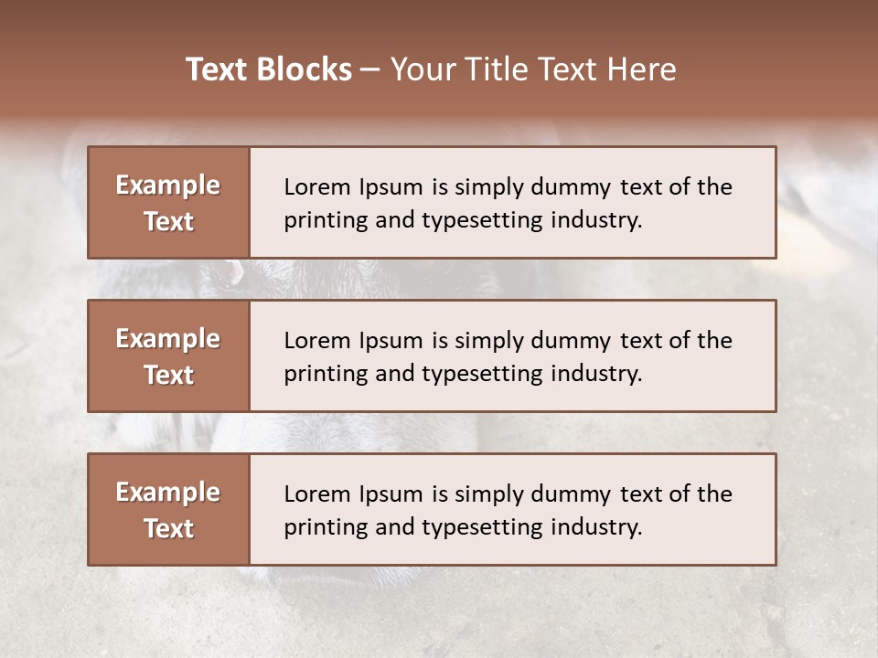 Black Down Indoors PowerPoint Template