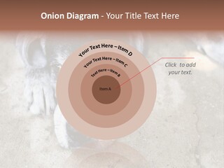 Black Down Indoors PowerPoint Template