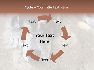 Black Down Indoors PowerPoint Template