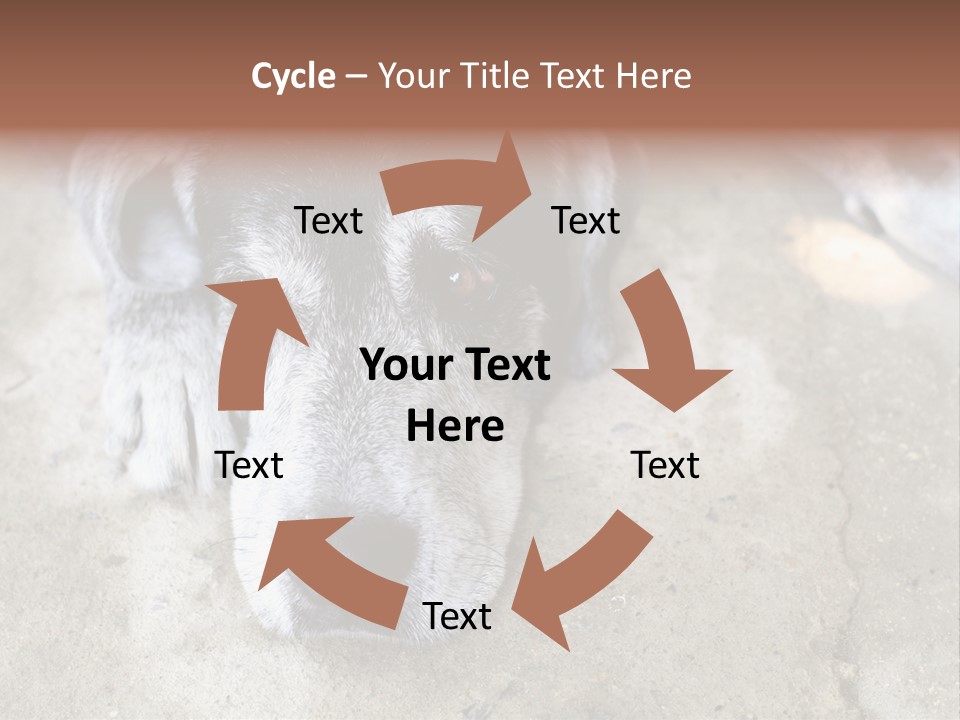 Black Down Indoors PowerPoint Template