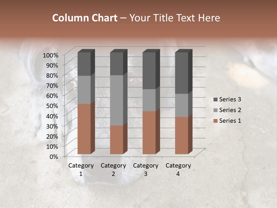 Black Down Indoors PowerPoint Template