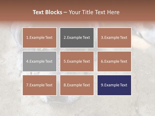 Black Down Indoors PowerPoint Template