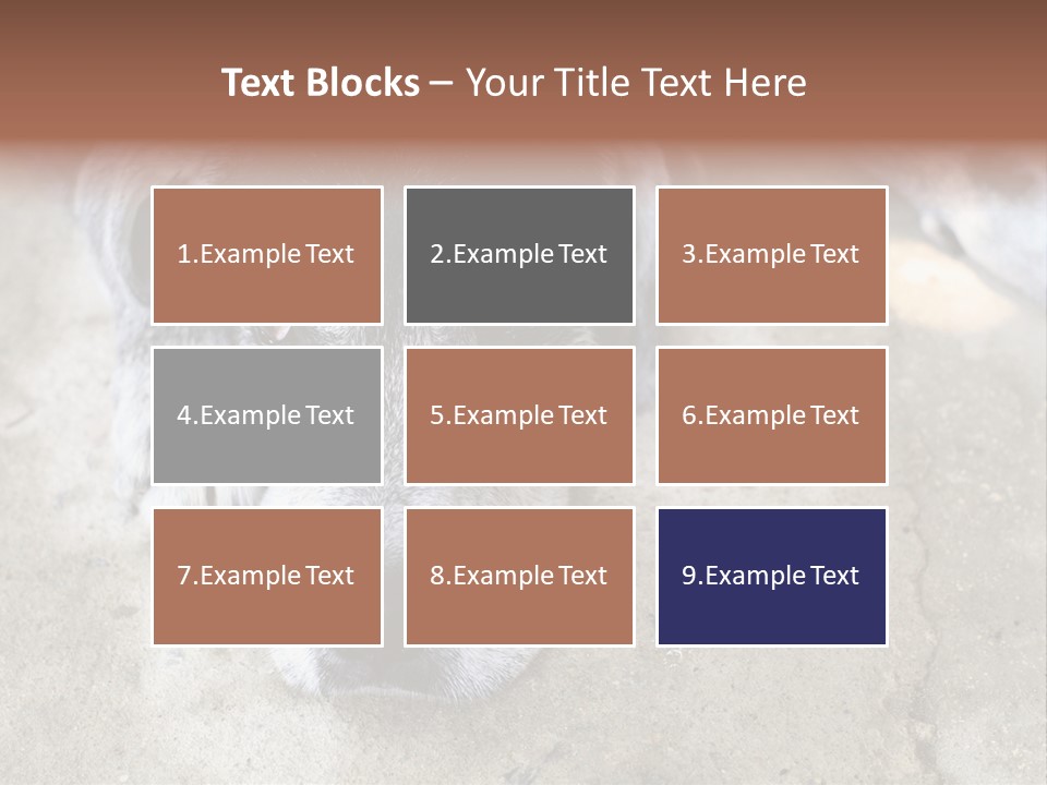 Black Down Indoors PowerPoint Template