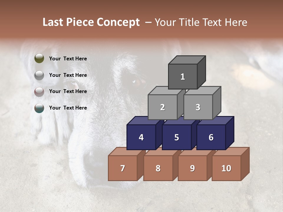 Black Down Indoors PowerPoint Template