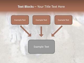 Black Down Indoors PowerPoint Template