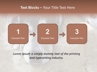 Black Down Indoors PowerPoint Template