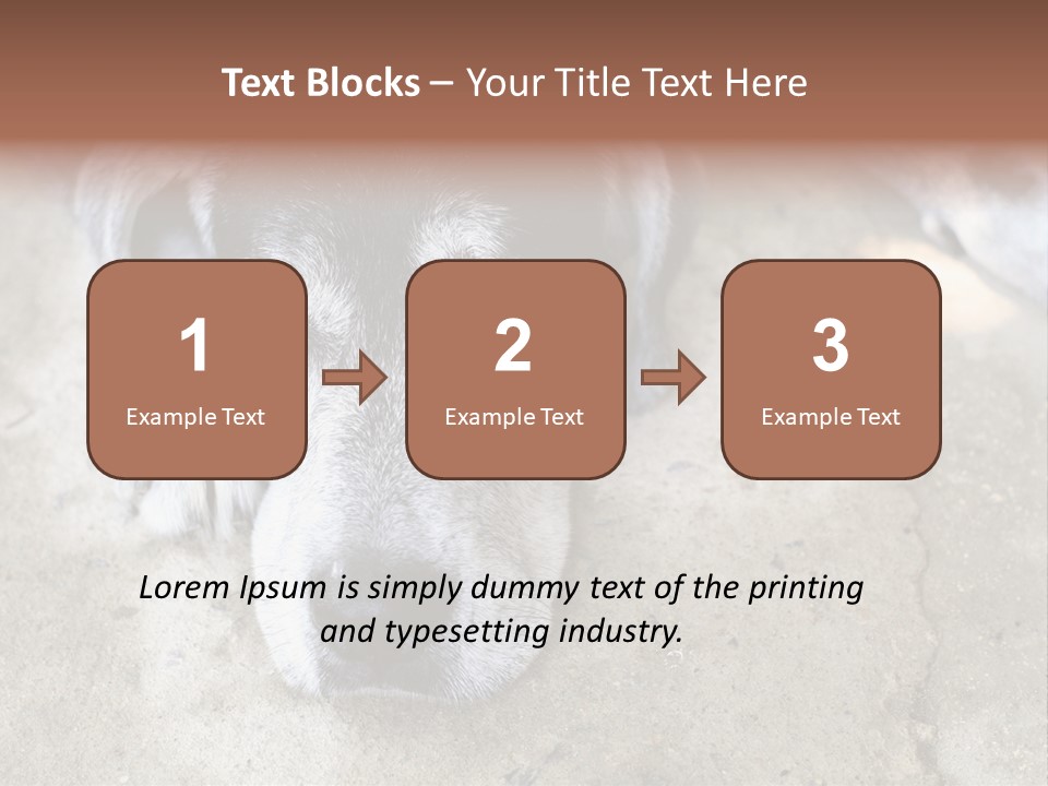 Black Down Indoors PowerPoint Template