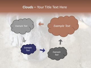 Black Down Indoors PowerPoint Template