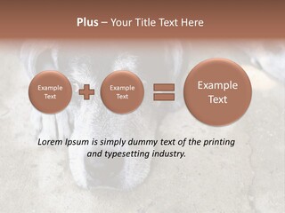 Black Down Indoors PowerPoint Template