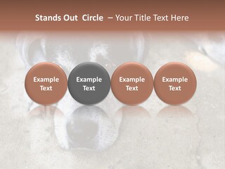 Black Down Indoors PowerPoint Template