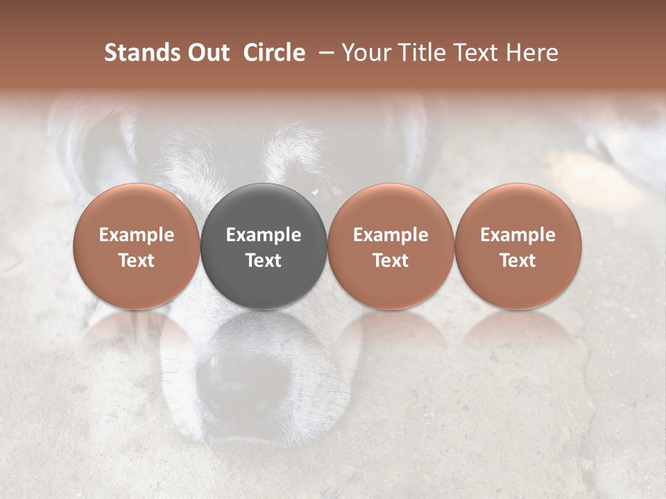 Black Down Indoors PowerPoint Template