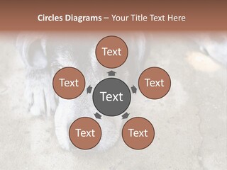 Black Down Indoors PowerPoint Template