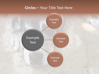Black Down Indoors PowerPoint Template