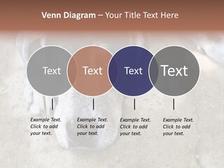 Black Down Indoors PowerPoint Template