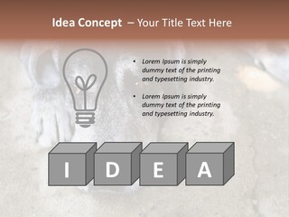 Black Down Indoors PowerPoint Template