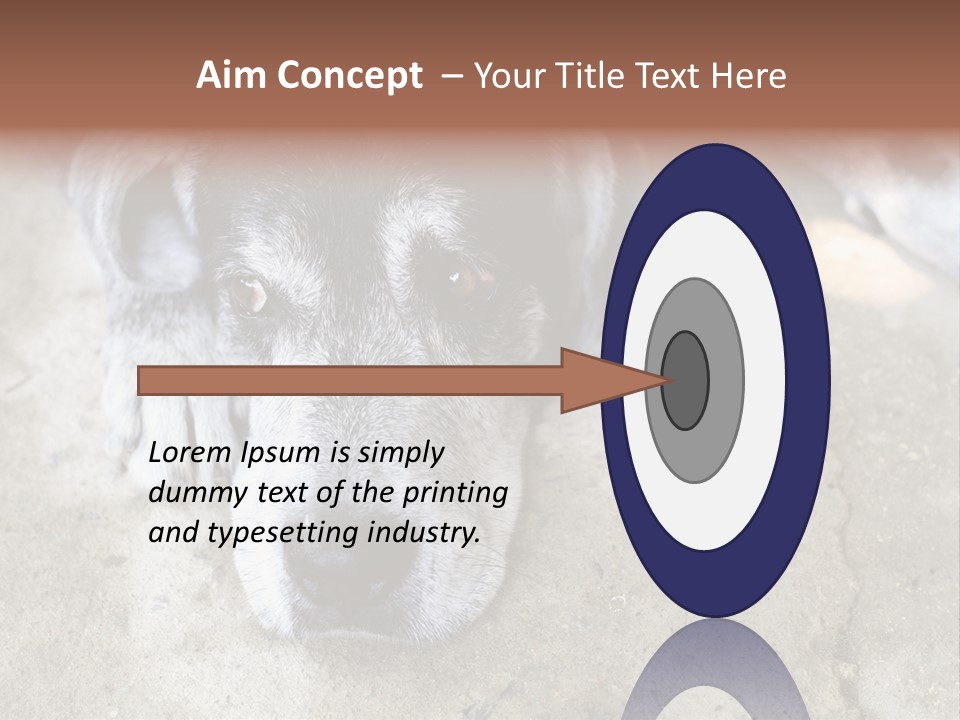 Black Down Indoors PowerPoint Template