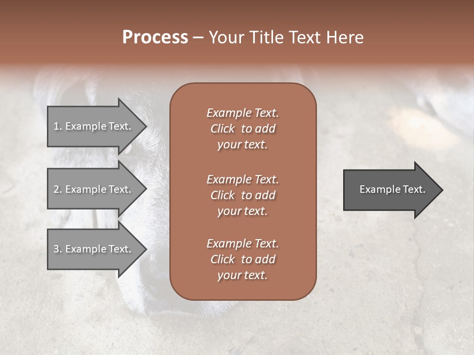 Black Down Indoors PowerPoint Template