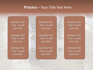 Black Down Indoors PowerPoint Template