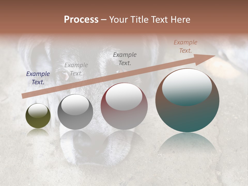 Black Down Indoors PowerPoint Template