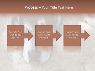 Black Down Indoors PowerPoint Template