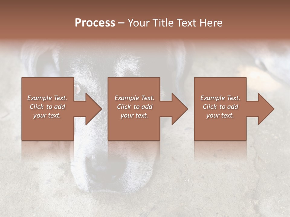 Black Down Indoors PowerPoint Template