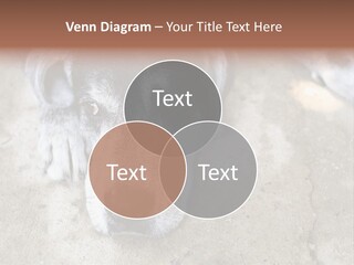 Black Down Indoors PowerPoint Template